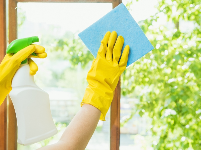 What Support Can You Expect From a Domestic Assistant?