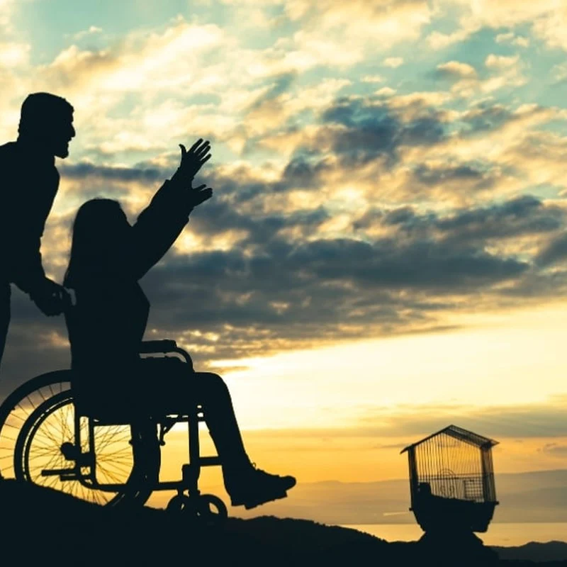 Can assistance for people with disabilities support daily living? — illustration from Montessori Care