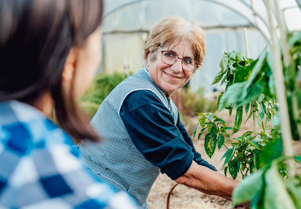 Home Maintenance Who this service is for – Home Maintenance for older Australians from Montessori Care