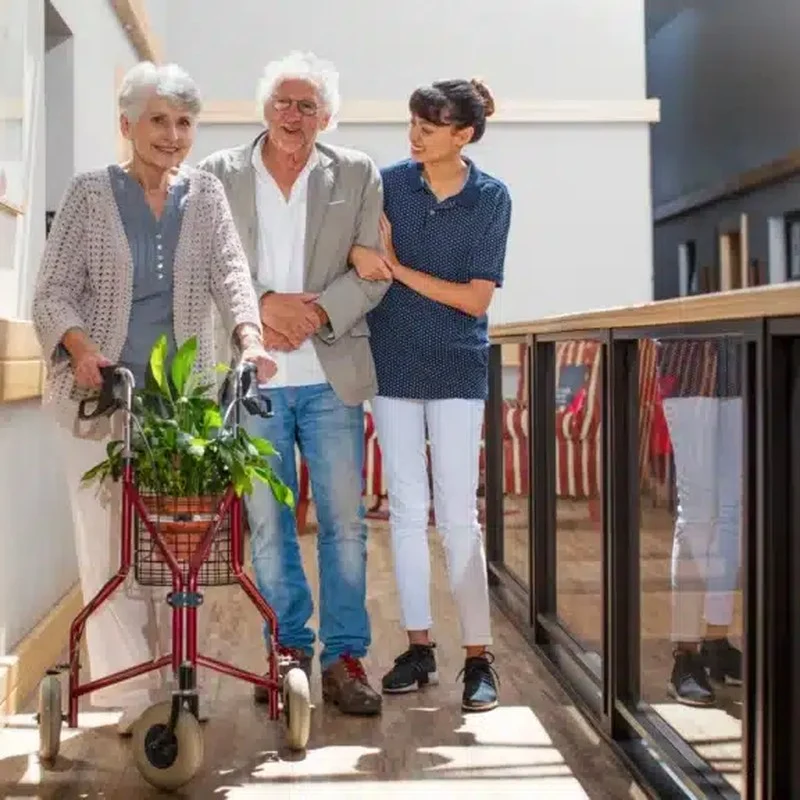 How families can prepare for changing care needs in aged care? — illustration from Montessori Care