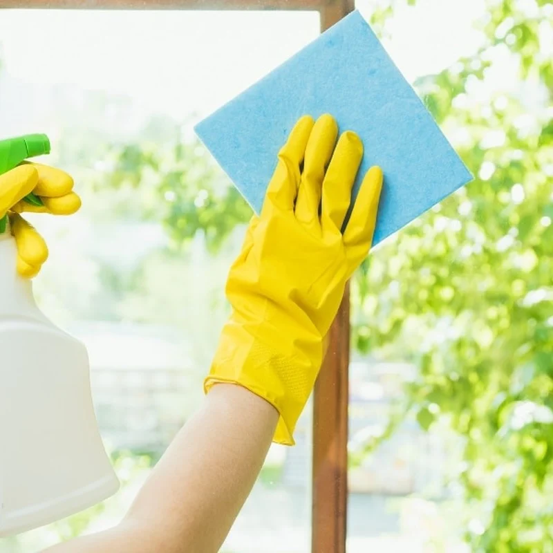 What support can you expect from a domestic assistant? — illustration from Montessori Care